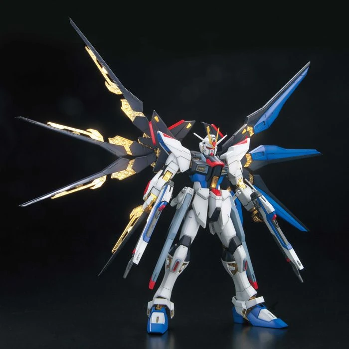 MG_Strike_Freedom_FBM_04