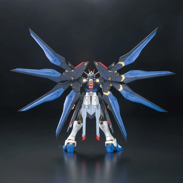 MG_Strike_Freedom_FBM_05