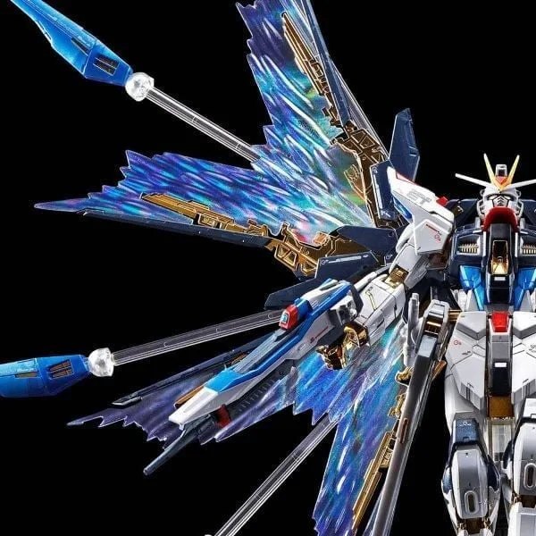 RG EXPANSION EFFECT UNIT WING OF THE SKIES for RG Strike Freedom 5